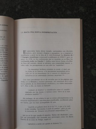 Entre el feudalismo y el Islam. Umar Ibn Hafsun en