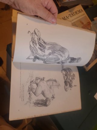 Libro dibujo