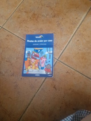 Piratas de andar por casa