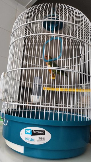 Jaula para pájaros Ferplast