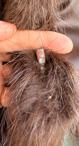 Abrigo de Pelo Marrón