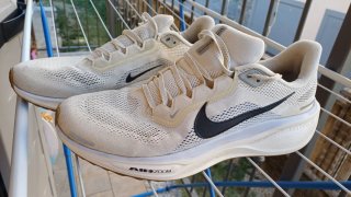 Nike Pegasus 41 Beige/Bianco