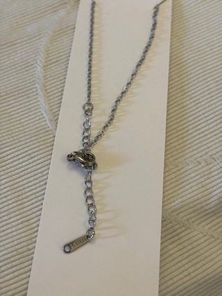 Cadena de Acero con Colgante de Oso