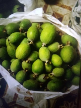 Vendo feixoas de primera calidad buen sabor