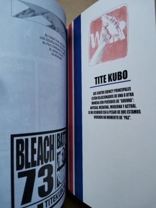 Manga Bleach 73.