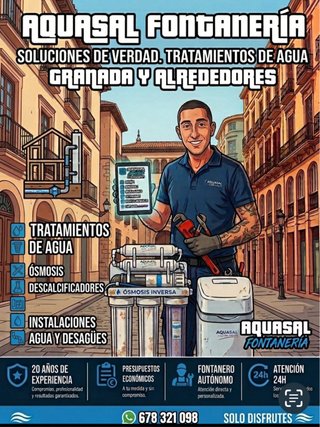 Fontanero Profesional