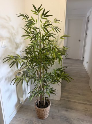 Planta Bambú Artificial Decoración Interior