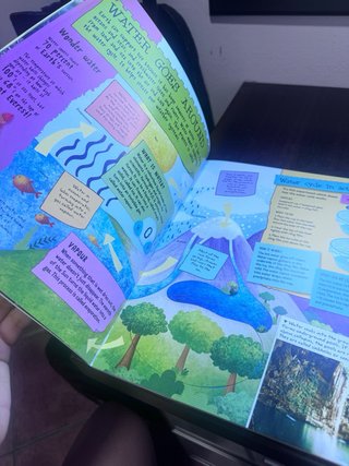 Libros infantiles en ingles