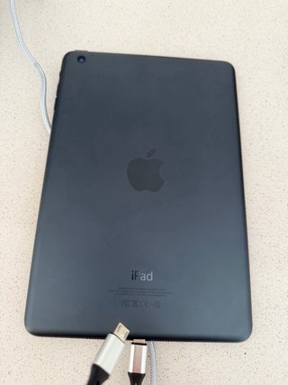 iPad Mini Negro 16GB