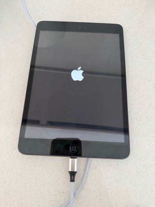 iPad Mini Negro 16GB