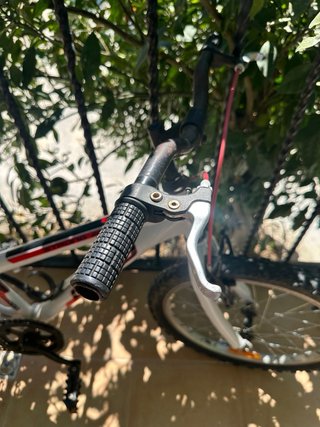 Bicicleta Infantil para 8 años
