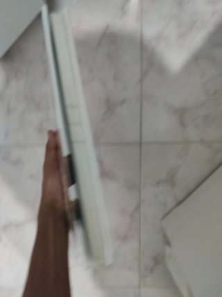 Adorables Gatos Como Nunca Antes Los Habías Visto
