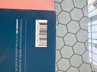 Lengua castellana y literatura 1, Le Bachillerato