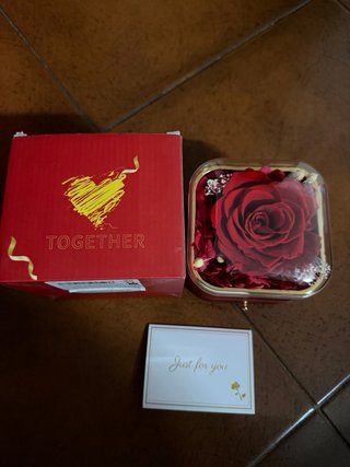 Cofanetto con Rosa Stabilizzata e Collana