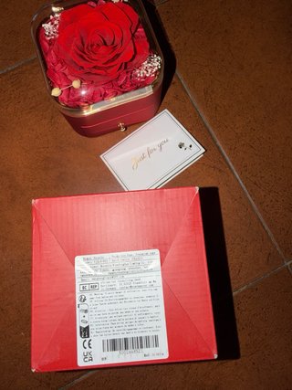 Cofanetto con Rosa Stabilizzata e Collana