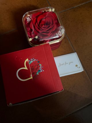 Cofanetto con Rosa Stabilizzata e Collana