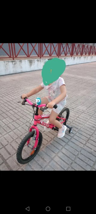 Bicicleta Infantil Elegant WST Rosa 14