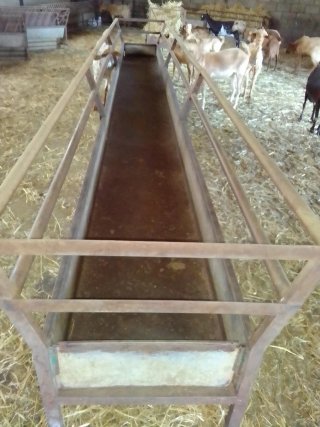 Comederos Metálicos para Ganado