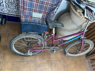 Bicicleta Infantil Mariner Morada