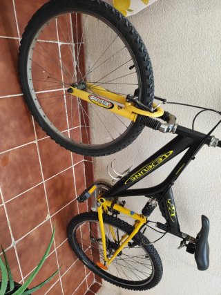 Bicicletas
