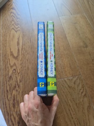 Lote 2 libros Diario de Greg en inglés – Jeff Kinn