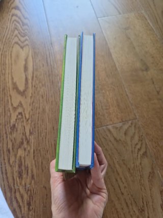 Lote 2 libros Diario de Greg en inglés – Jeff Kinn