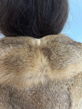 Abrigo de pelo marrón