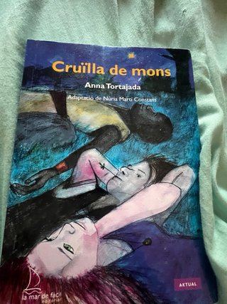 Llibre