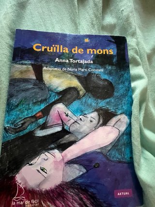 Llibre