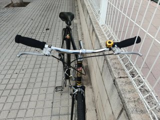 Bicicleta de Paseo California ycaminos malos