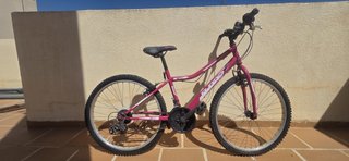 Bicicleta Montaña Rosa sin usar hace años