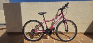 Bicicleta Montaña Rosa sin usar hace años