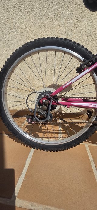 Bicicleta Montaña Rosa sin usar hace años