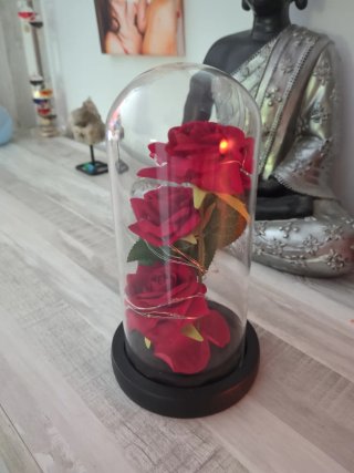 Rosas eternas con luz LED