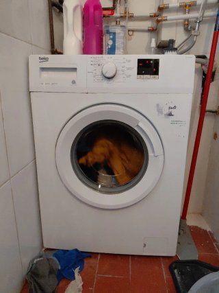Lavadora Beko Blanca