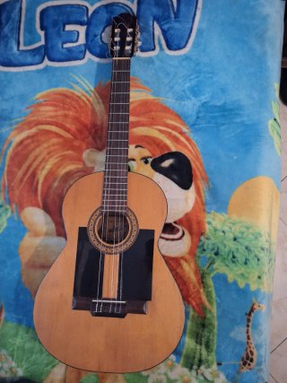 Guitarra Admira Palosanto 2000F1