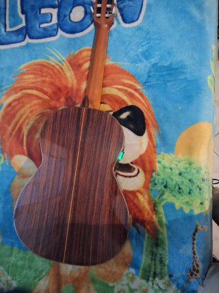 Guitarra Admira Palosanto 2000F1