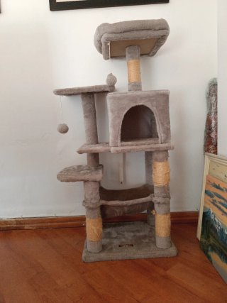 Árbol Rascador para Gatos