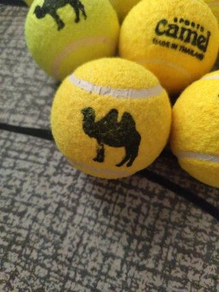 Set de 10 Pelotas Camed y MM Swinger