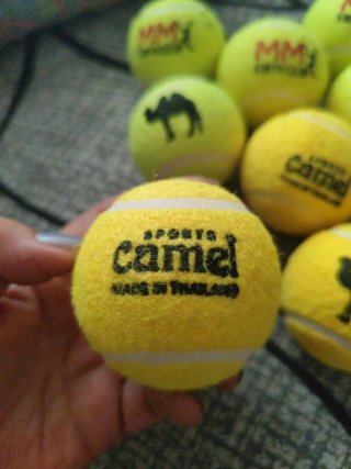 Set de 10 Pelotas Camed y MM Swinger