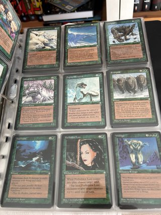 Colección Magic the Gathering ice age