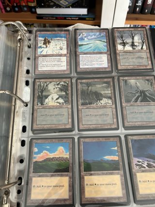Colección Magic the Gathering ice age