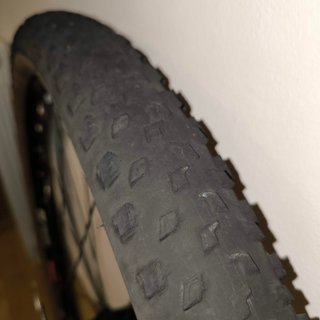 Rueda MTB 29 DT Swiss con Disco