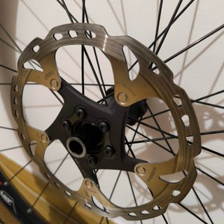 Rueda MTB 29 DT Swiss con Disco