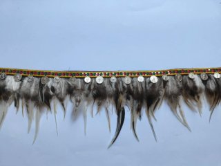Tira de plumas con monedas