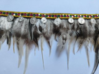 Tira de plumas con monedas
