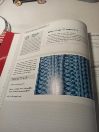 Knitty Gritty Bindup Tbp