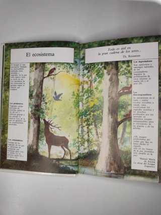 EL LIBRO DEL BOSQUE - ALTEA - LIBRO INFANTIL