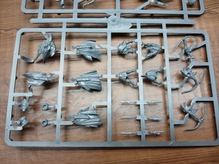 8 Glade Guard Wood elf realms Warhammer Old World