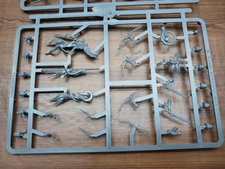 8 Glade Guard Wood elf realms Warhammer Old World